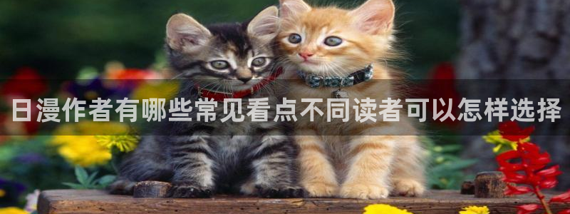 梦漫漫画软件教程:日漫作者有哪些常见看点不同读者可以怎样选择