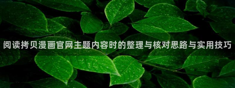 梦漫漫画热门漫画APP:阅读拷贝漫画官网主题内容时的整理与核对思路与实用技巧