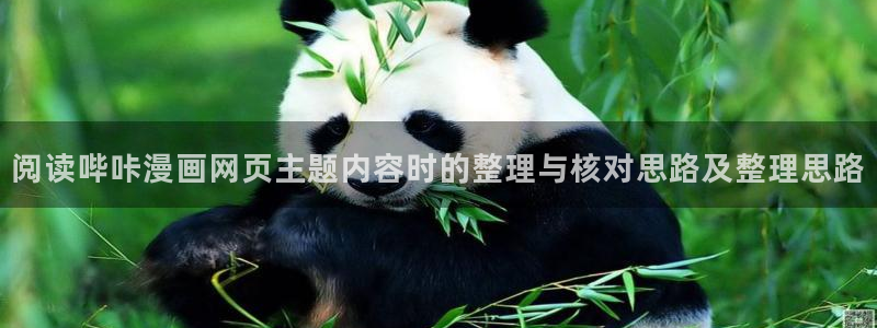 梦漫漫画客户端:阅读哔咔漫画网页主题内容时的整理与核对思路及整理思路