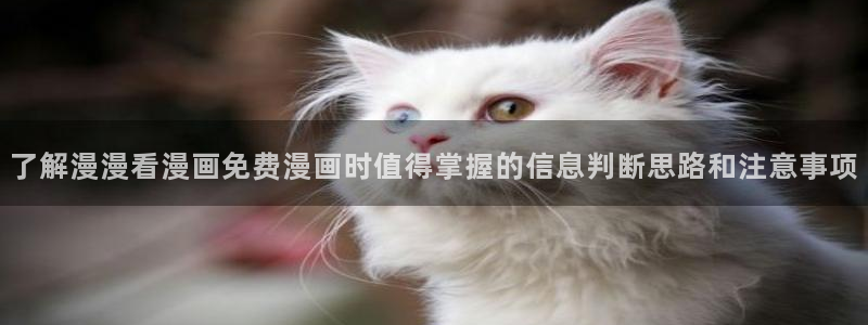 梦漫漫画手机版入口：了解漫漫看漫画免费漫画时值得掌握的信息判断思路和注意事项