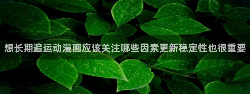 梦漫漫画软件入口:想长期追运动漫画应该关注哪些因素更新稳定性也很重要