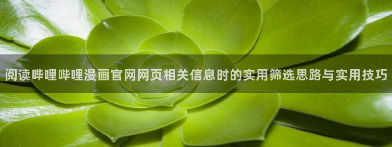 梦漫漫画软件:阅读哔哩哔哩漫画官网网页相关信息时的实用筛选思路与实用技巧