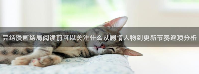 梦漫漫画手机端：完结漫画结局阅读前可以关注什么从剧情人物到更新节奏逐项分析